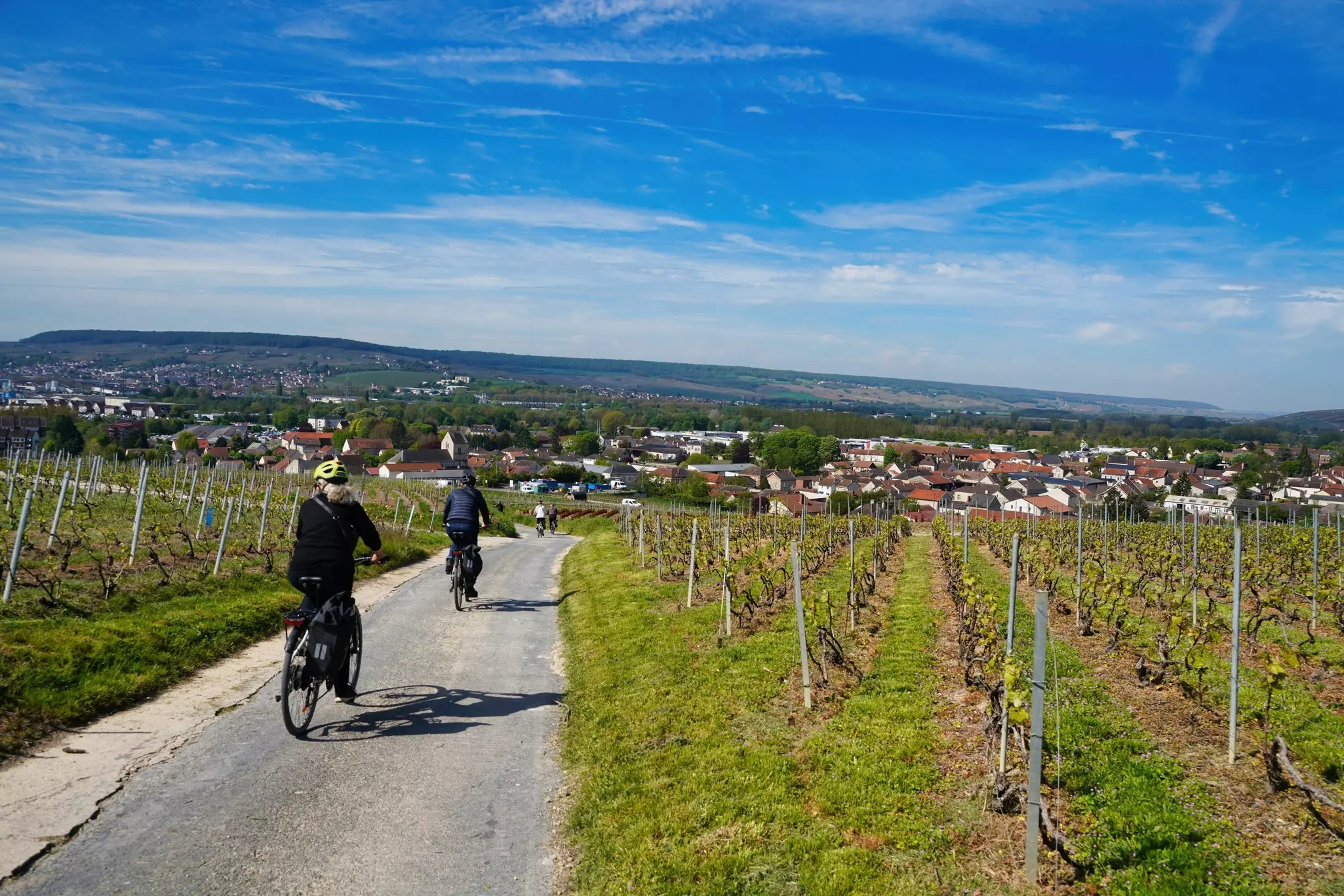 Bike tour through the vineyards of Champagne. 