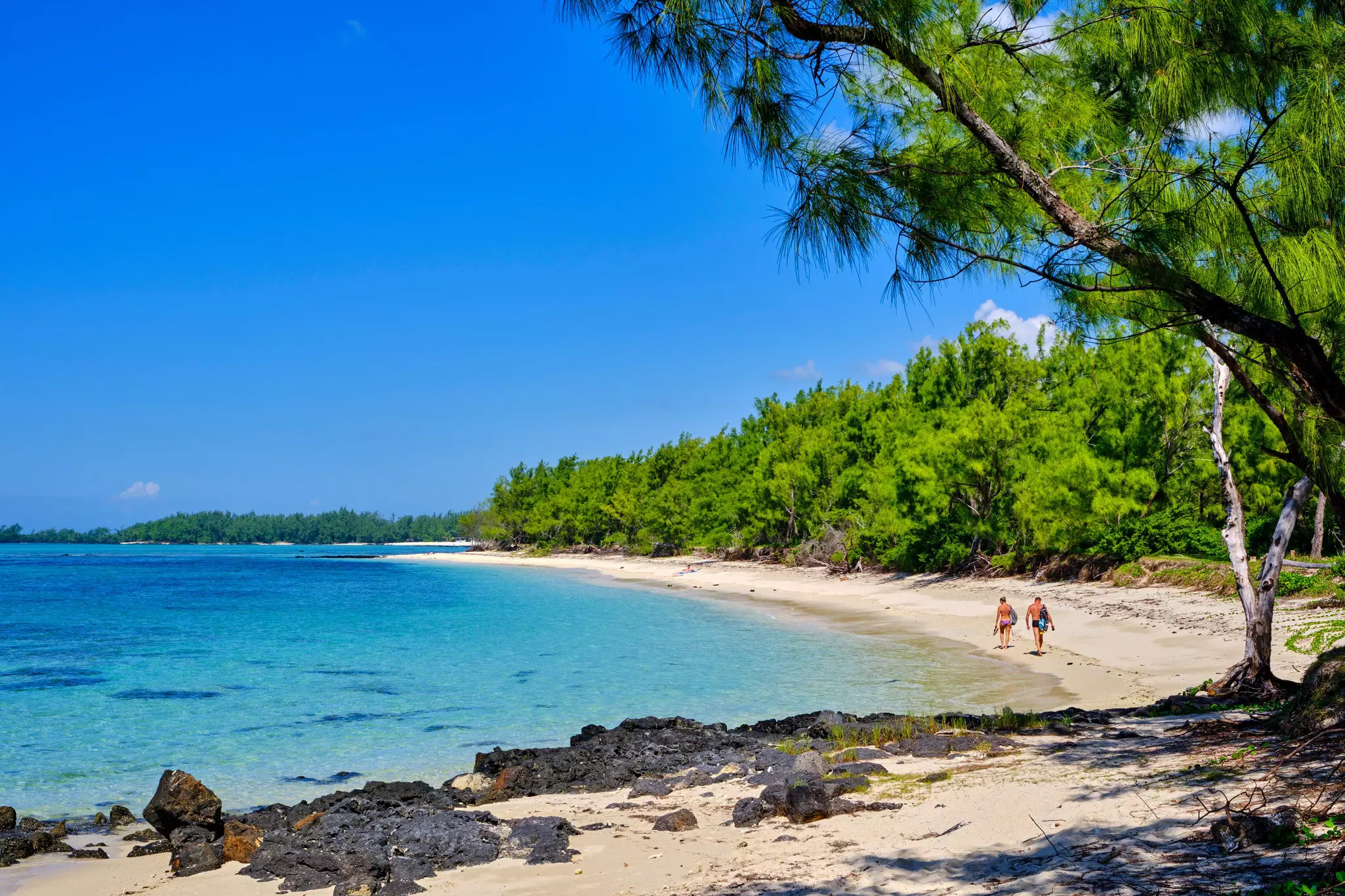 Two people walk along a sandy beach backed by thick woodland