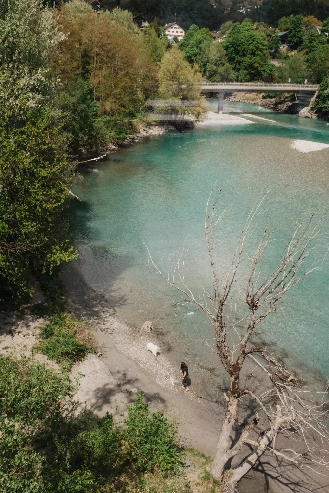 A view of a riverbak with a woman and dog walking along the edge