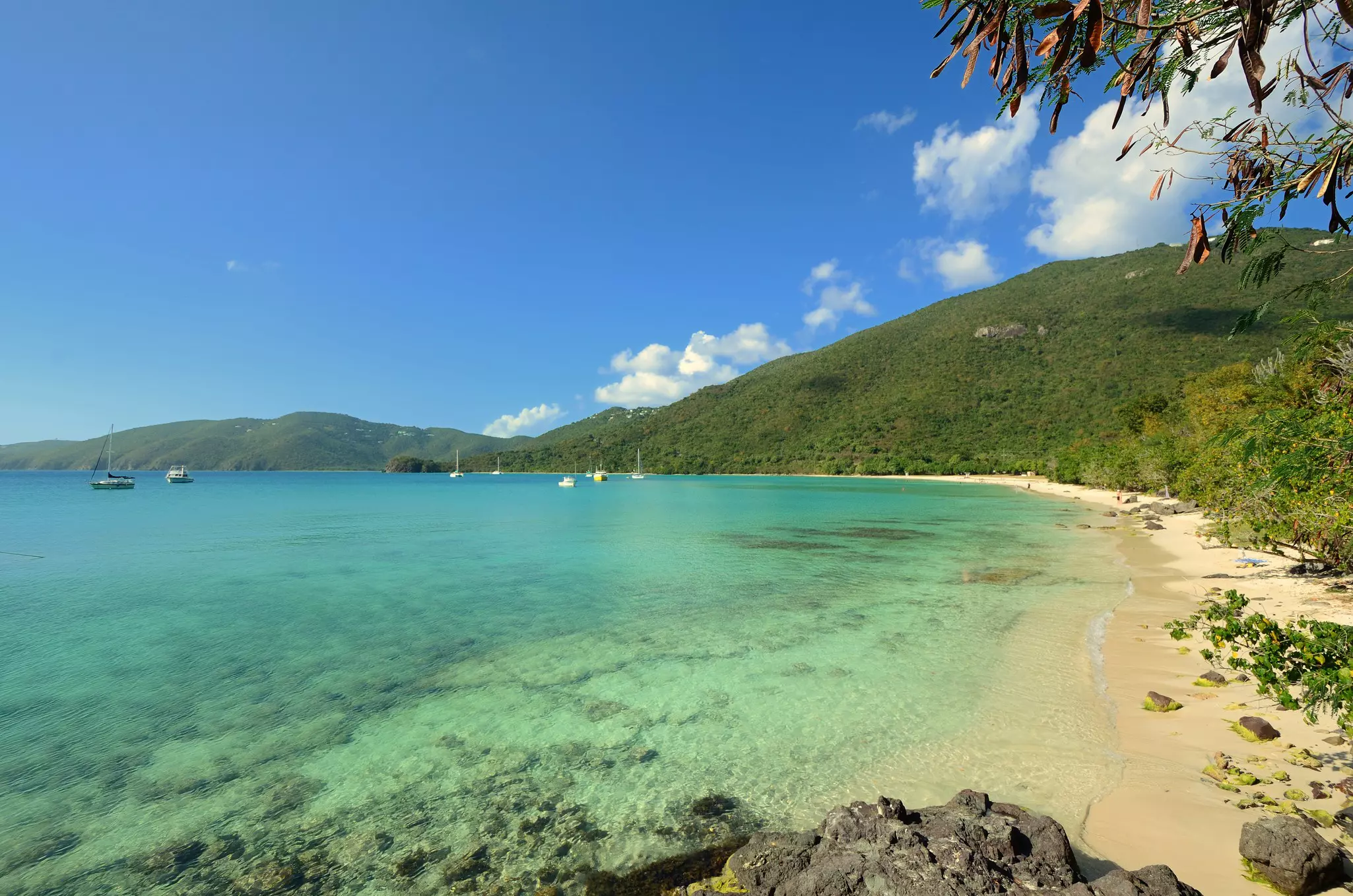 A shallow sea laps at a sandy shore backed by woodland. Several yachts are moored in the distance.