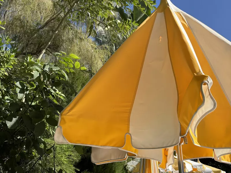 Chamidae, Southern California Road Trip article