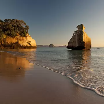 Sandy beach with gentle surf, a tall sandstone rock stack offshore and a bush-topped golden cliff under a clear sky.