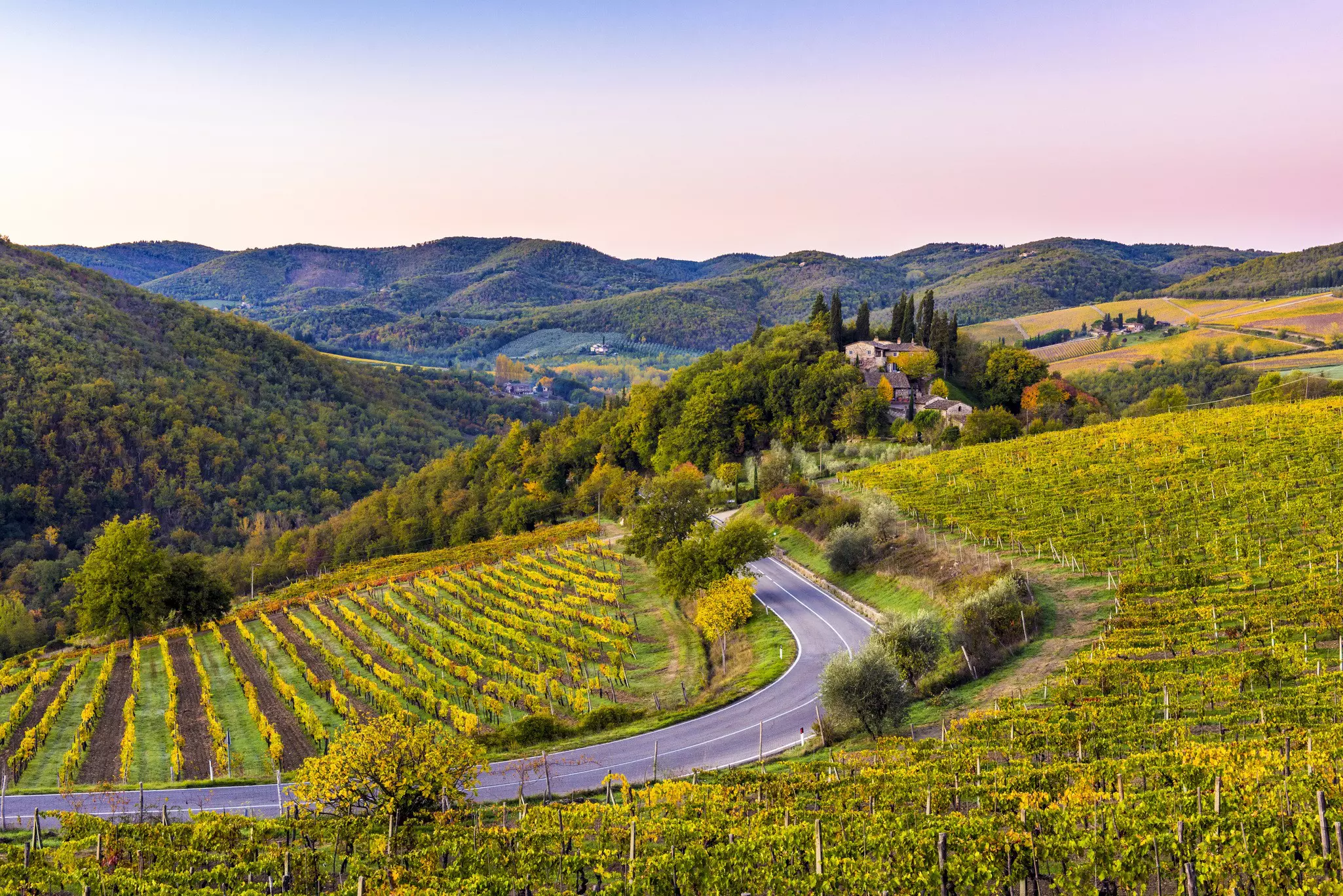 Vineyards in the Chianti region