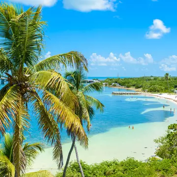 People swimming next to the beach in Bahia Honda State Park. Simon Dannhauer/Shutterstock