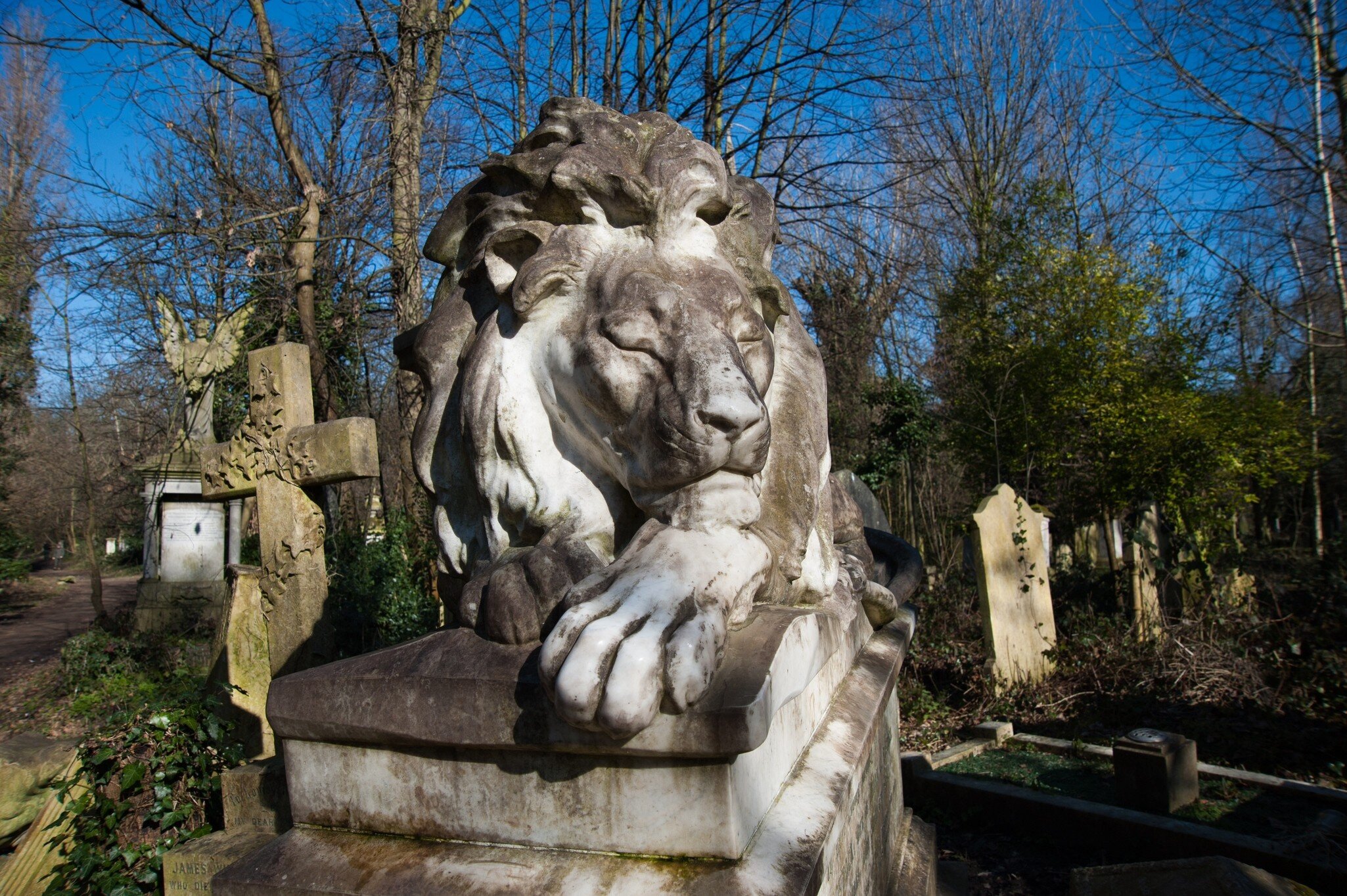 Local Landmarks