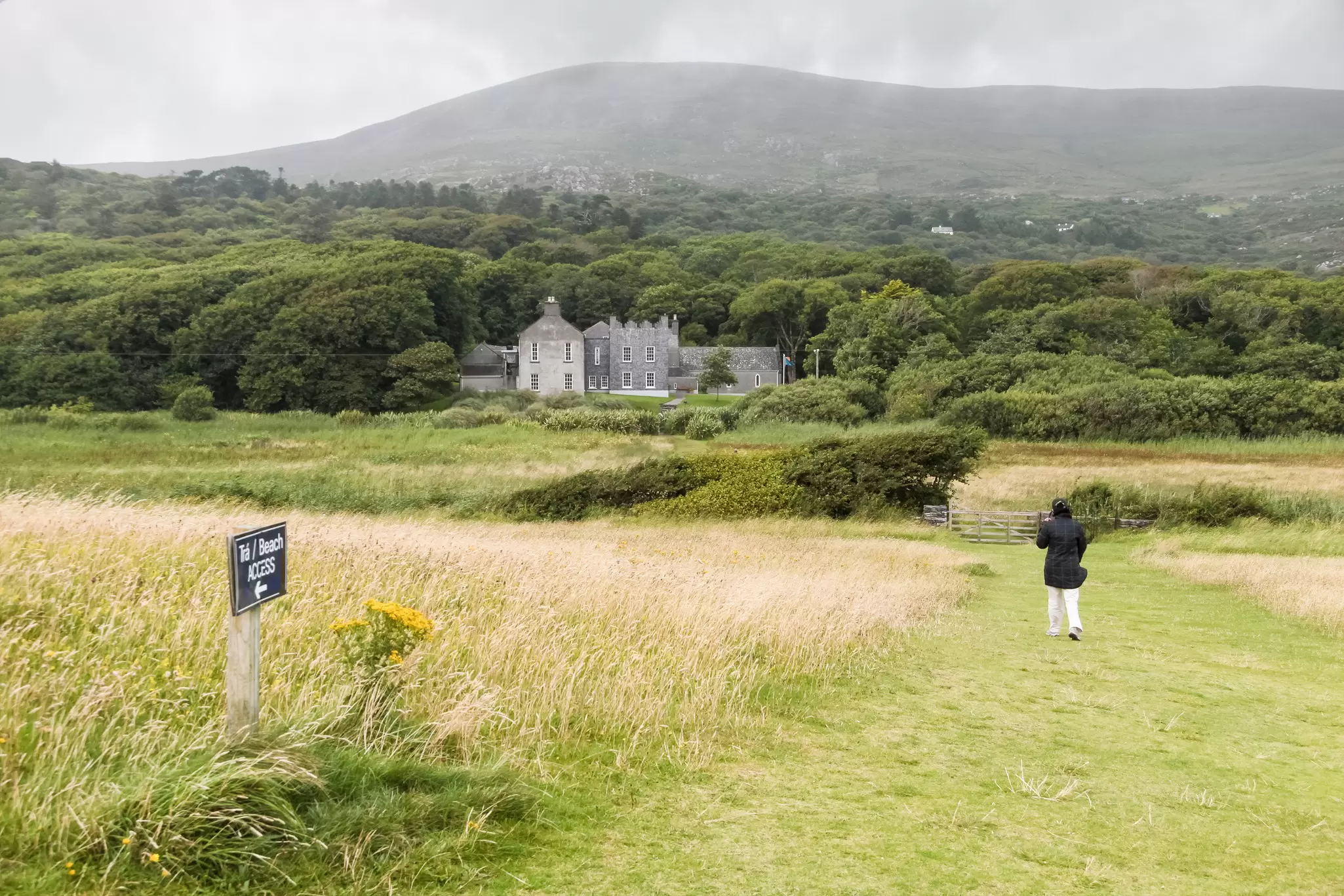 A woman walks through the windy meadows at Derrynane House.