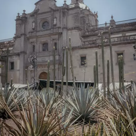 MEXICO CITY, MEXICO — May 2025
Mexico City Metropolitan Cathedral / Catedral Metropolitana de la Ciudad de México, located in the Centro Histórico neighborhood