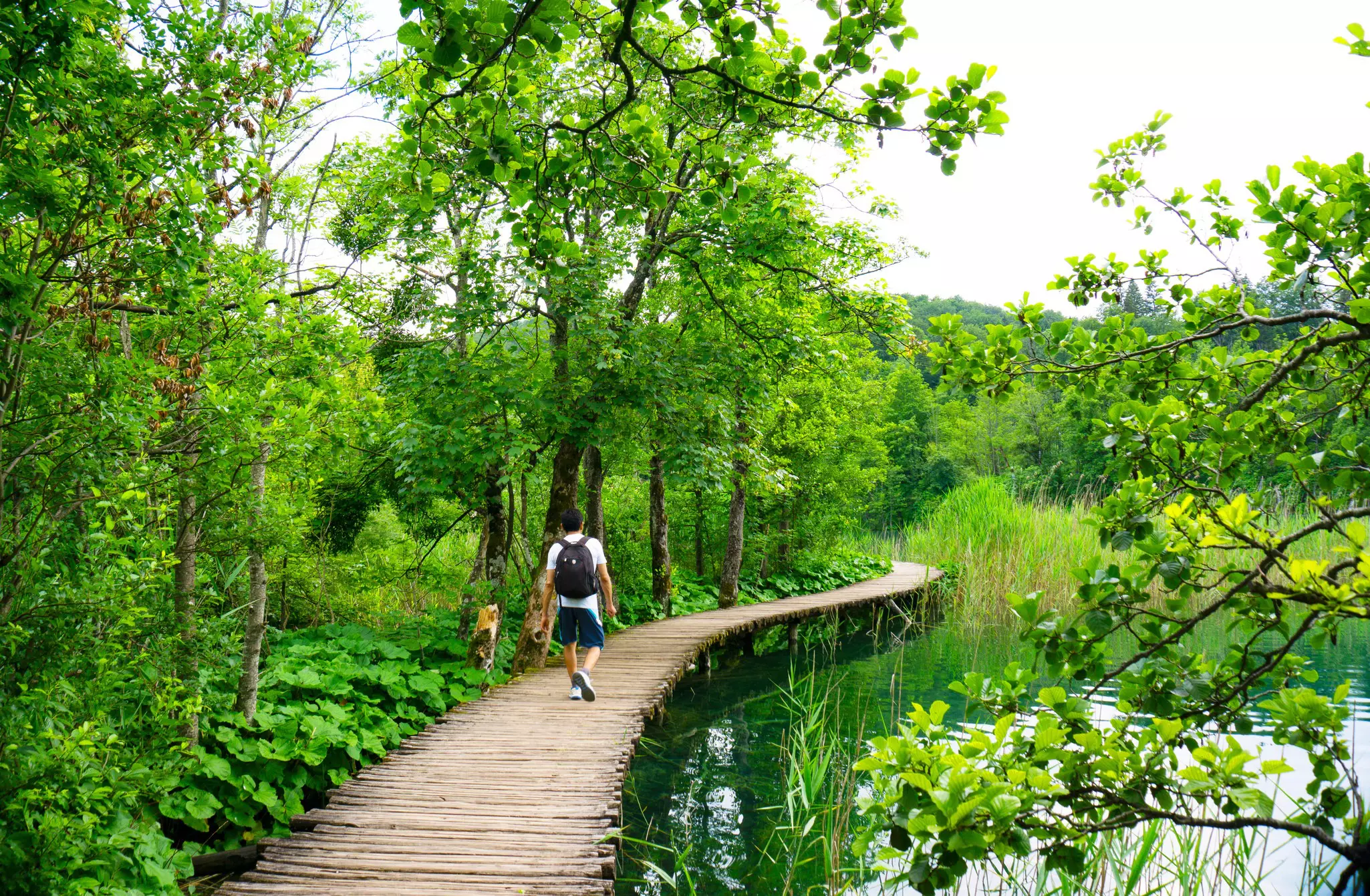 A man carrying a backpack walks along a boardwalk that runs over a lake and into dense foliage