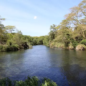 Mzima Springs, Tsavo West National Park, Kenya.