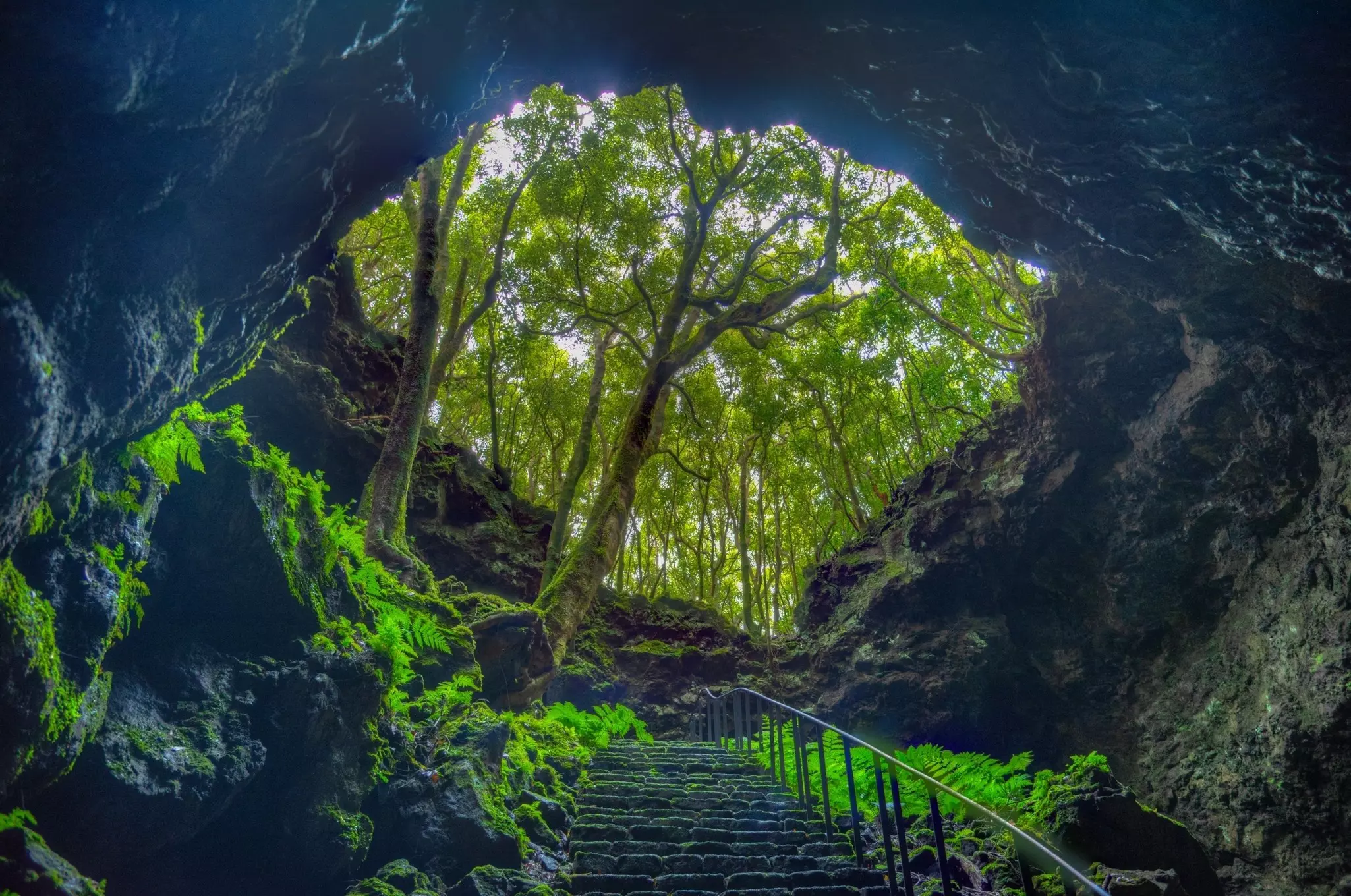 A staircase ascending from underground through an opening surrounded by trees and mossy rocks.