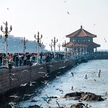 Crowds feed seagulls along Zhanqiao Pier in Qingdao, leading to the red-roofed Huilan Pavilion over the sea