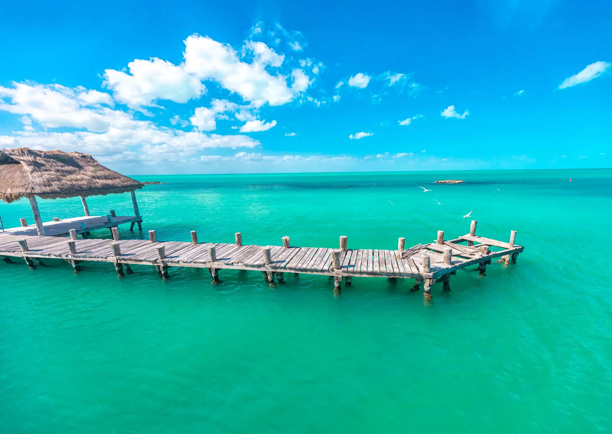 Isla Contoy at the northwestern tip of the Yucatan Peninsula