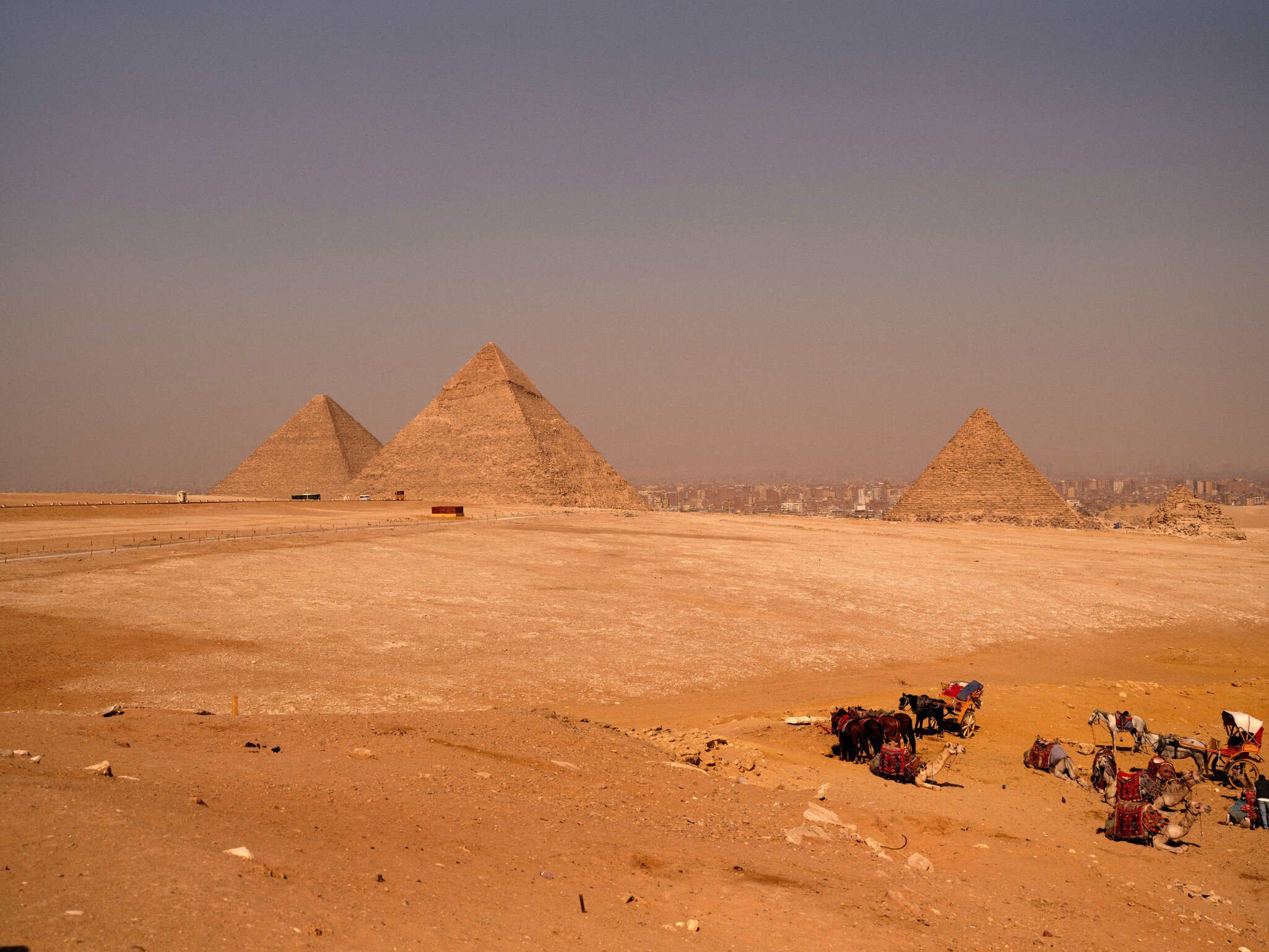 A group of camels on desert sands with three large pyramid structures in the distance: the Pyramids of Giza.