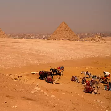 Flat sandy plain with pointed stone pyramids on the horizon and saddled camels resting at lower right.