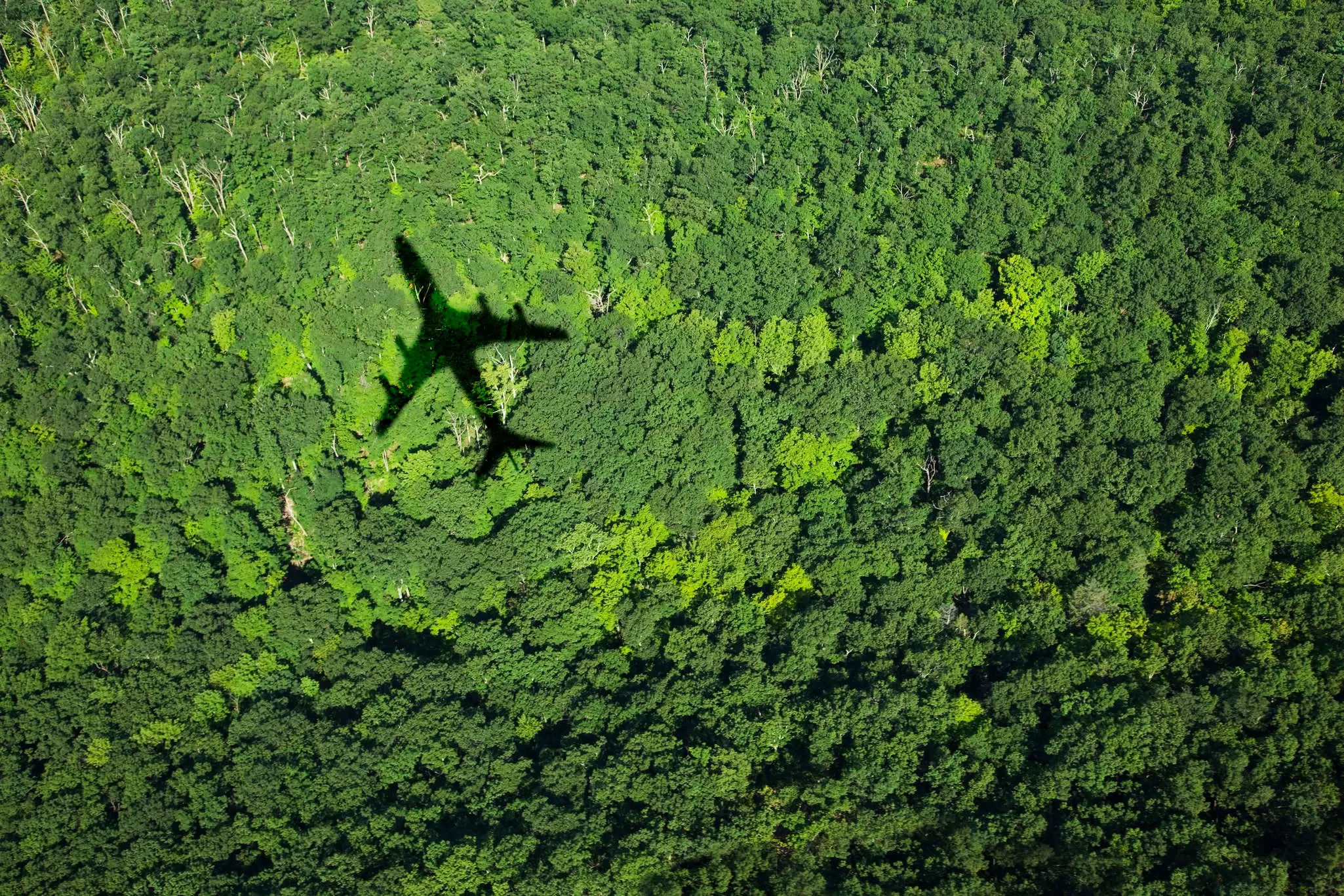 A passenger airplane in flight