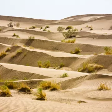 Karakum Desert