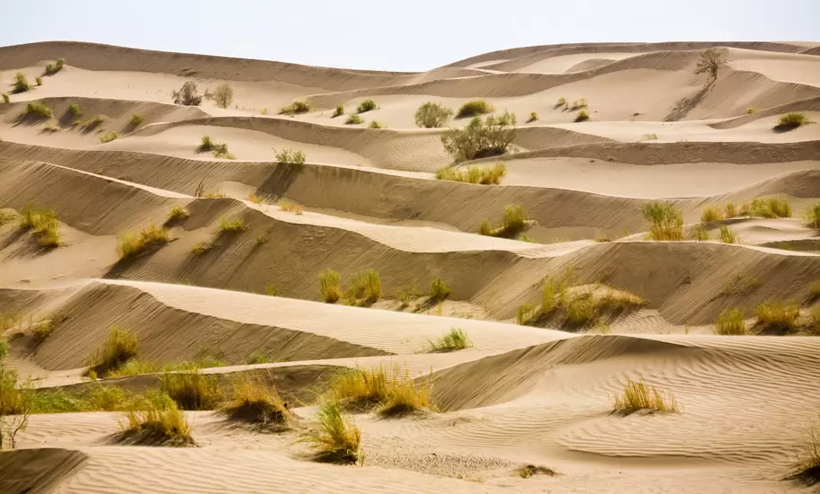 View of the Karakum Desert in Turkmenistan.