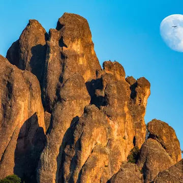 A condor flies in front of the moon at Pinnacles National Park, California. NickLustPhotography / Getty Images