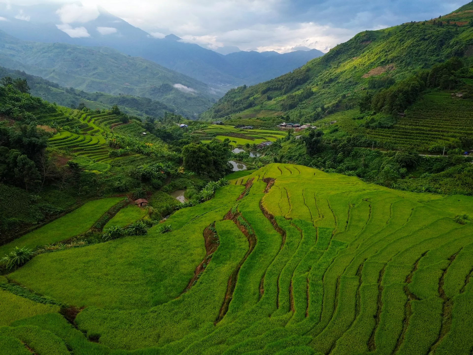 Lai Chau province in northern Vietnam. Alex Sheal