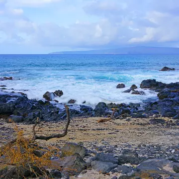 View of black lava rock and blue ocean at the Ahihi-Kinau Natural Area Reserve, on the West shore of Maui south of Wailea and Makena, Hawaii; Shutterstock ID 1166522590;