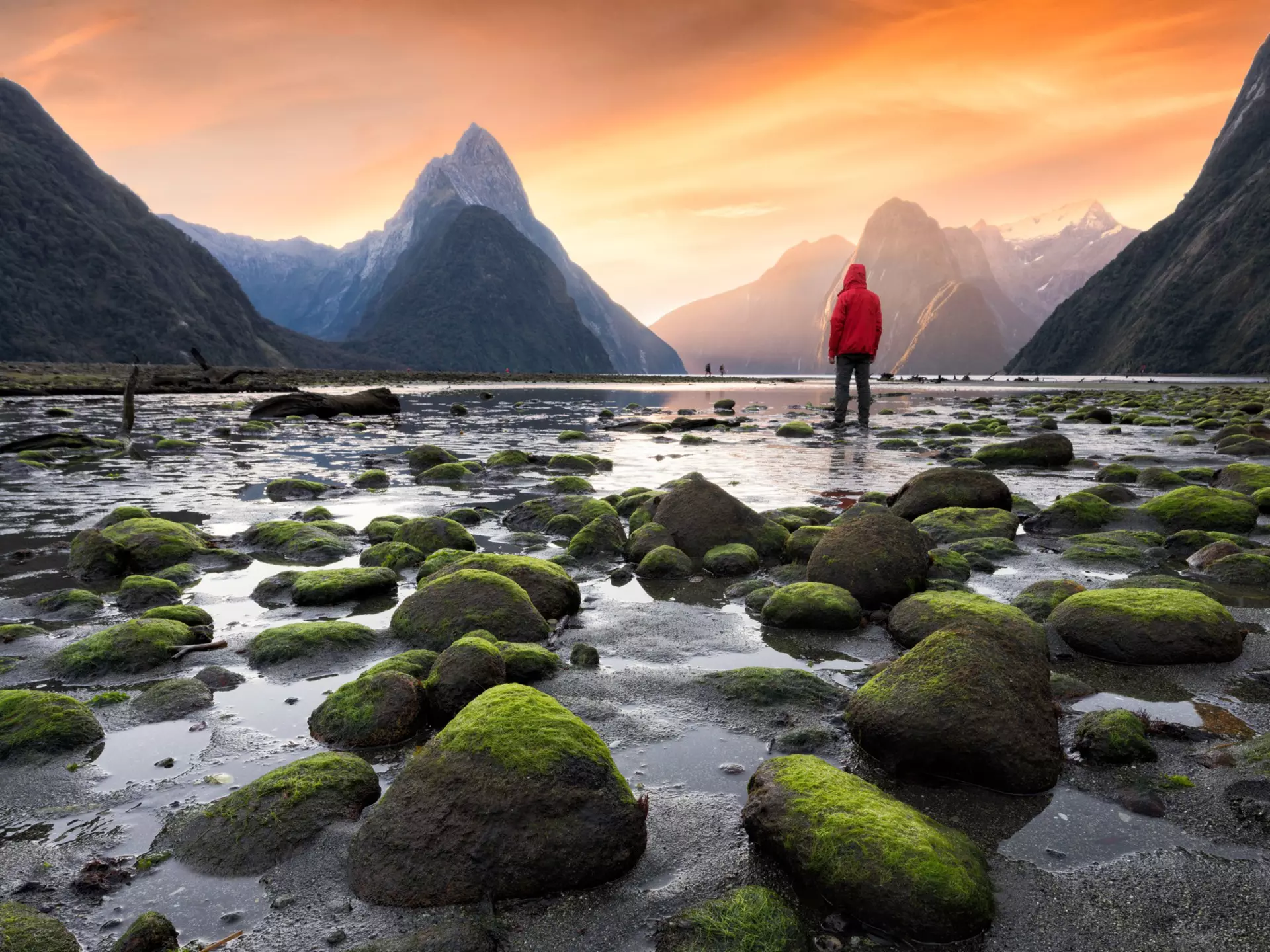 Milford Sound/Piopiotahi fiord in the south west of New Zealand's South Island