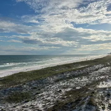 Beach view at Henderson Beach State Park