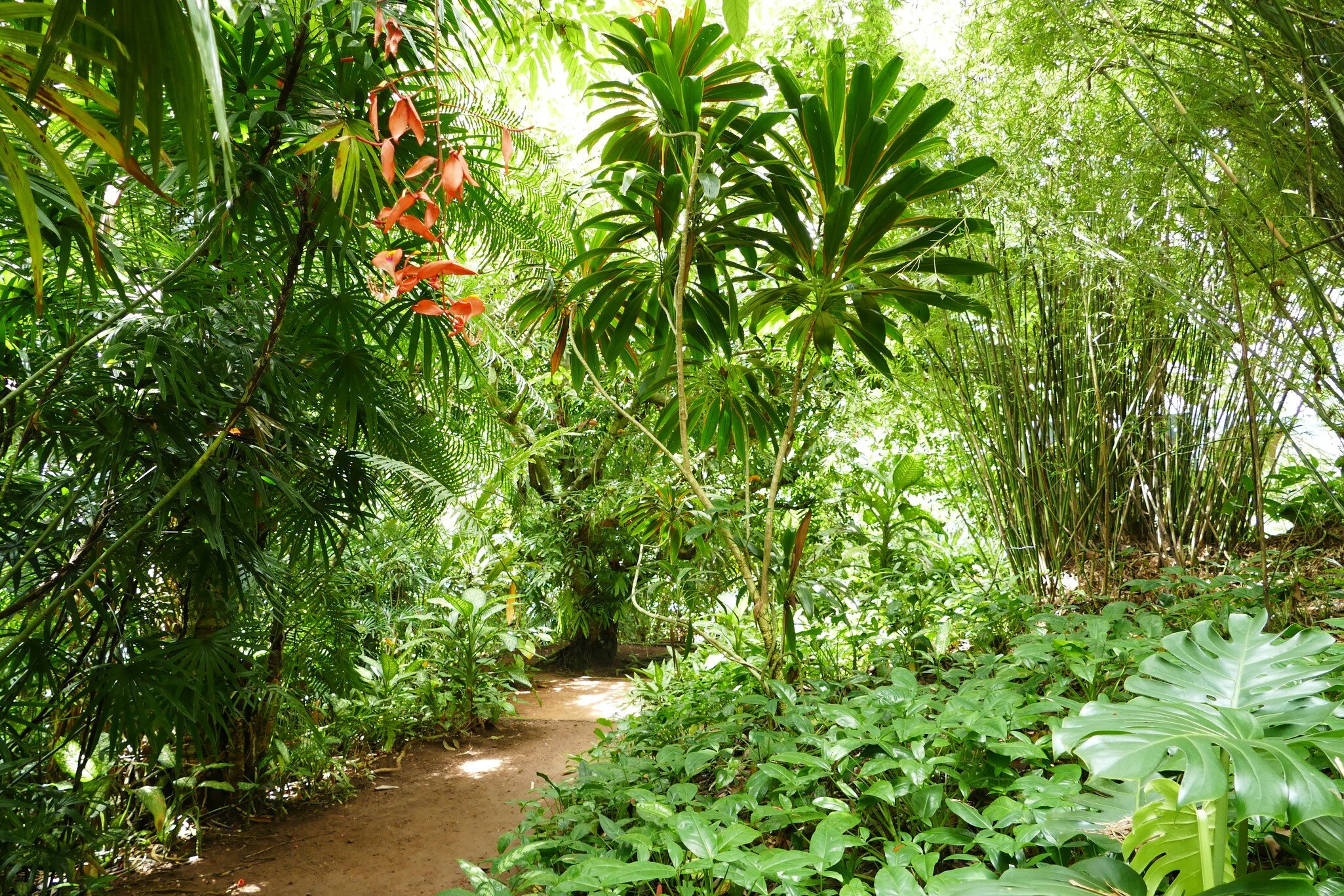 Beruwala, Western Province/Sri Lanka - February 7 2018: Brief Gardens, Home of Bevis Bawa