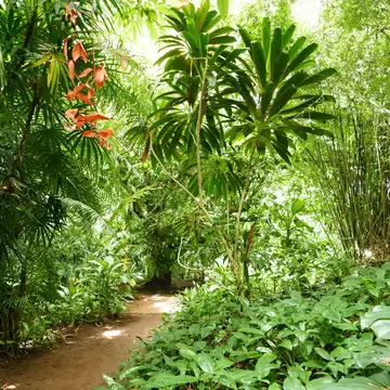 Beruwala, Western Province/Sri Lanka - February 7 2018: Brief Gardens, Home of Bevis Bawa
