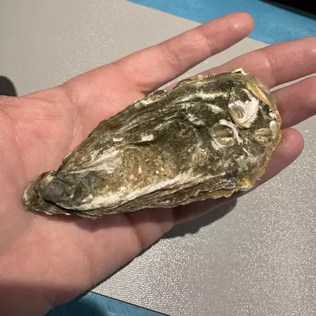 Road near the Cite de l'Huitre museum in Marennes, France