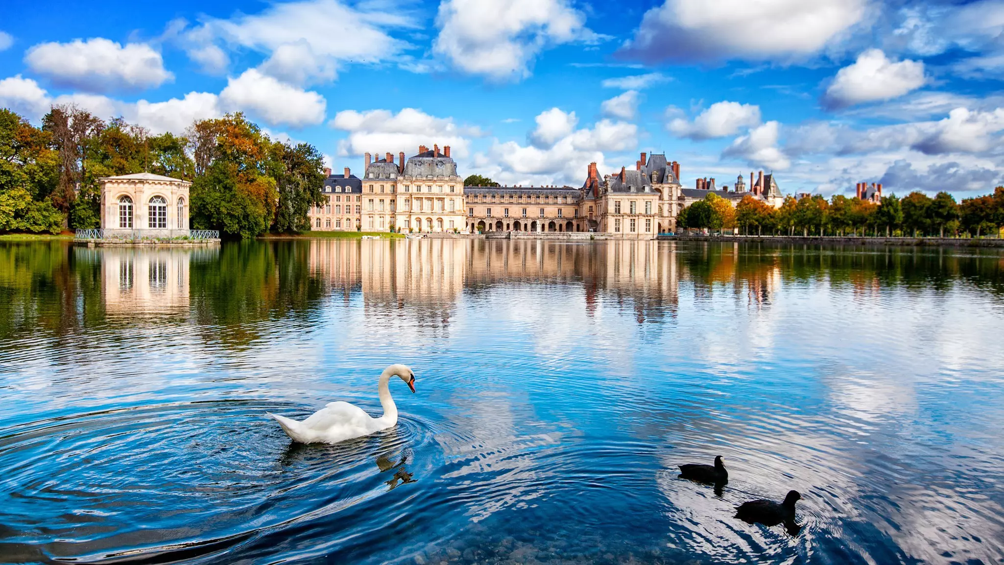 Swan Lake in front of Fontainebleau Castle, France