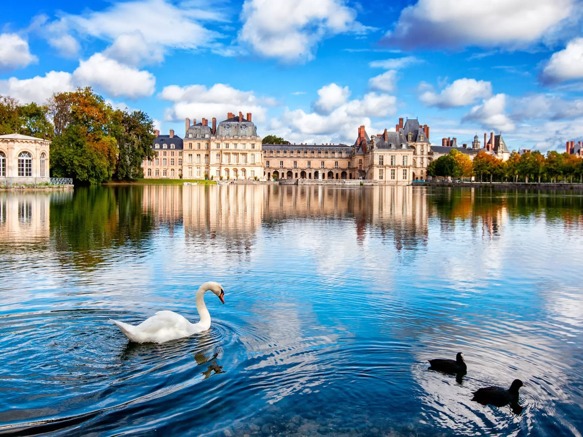 Swan Lake in front of Fontainebleau Castle, France