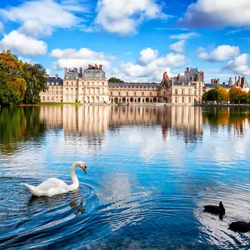 Swan Lake in front of Fontainebleau Castle, France