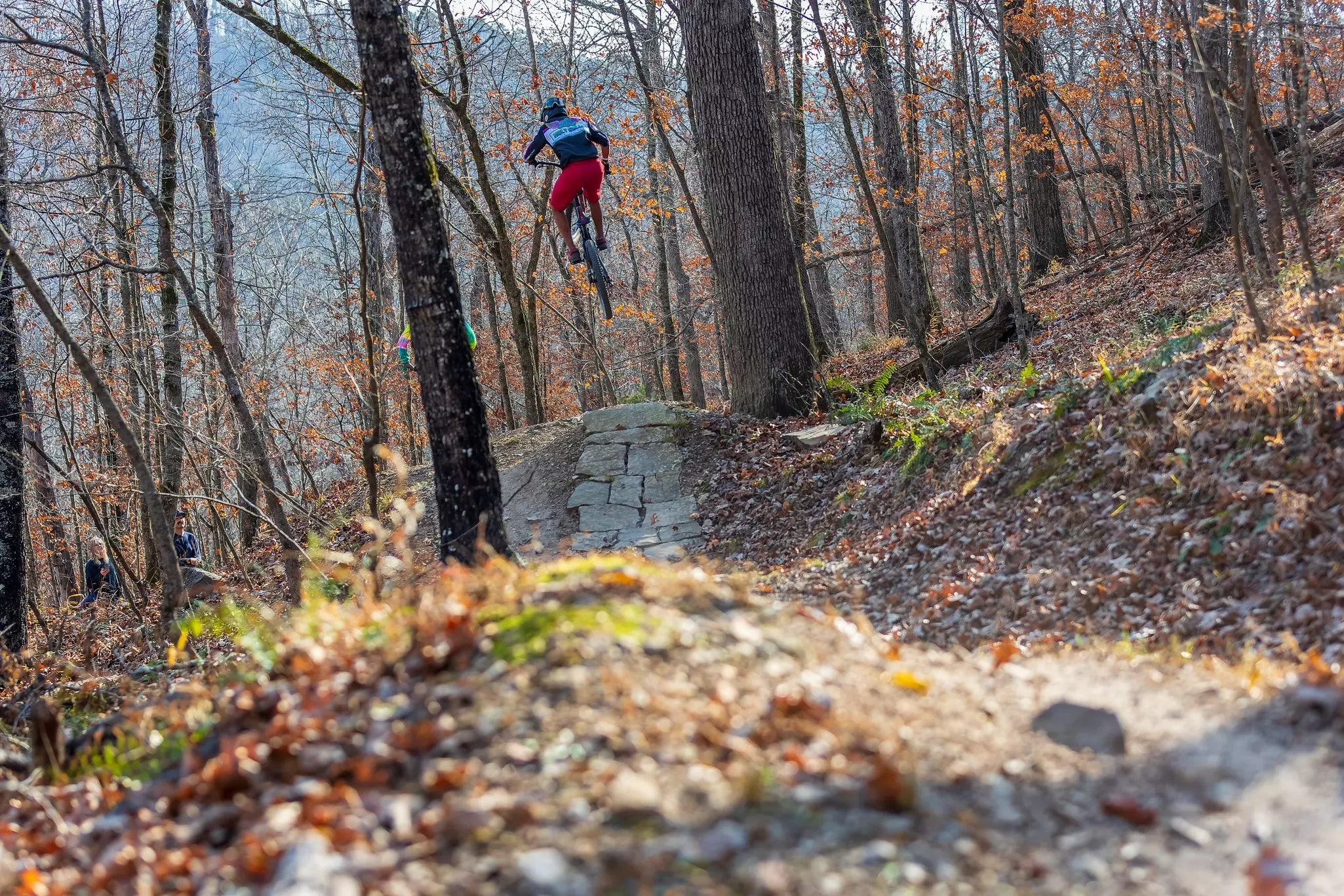 Mountain bikers will delight in the fantastic biking trails in the Ozarks © Iron Realm / Shutterstock