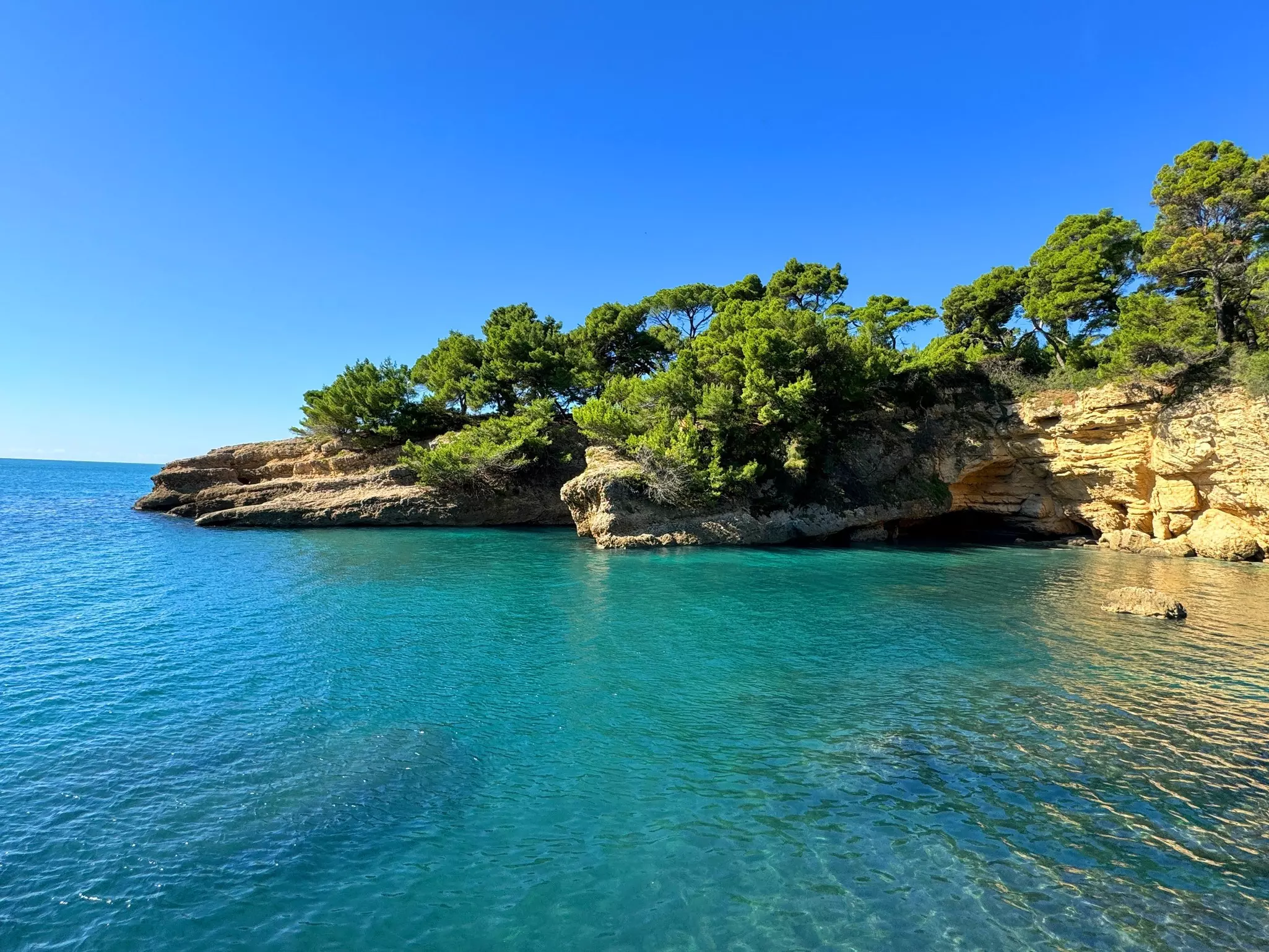 Cliffs topped with trees rise from a sea cove.