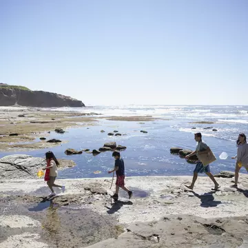 719872383
People Freedom Getting Away From It All On The Move Bonding Togetherness Lifestyles Nature Vacations Horizontal Full Length Outdoors 4-5 Years 8-9 Years 30-34 Years 35-39 Years High Angle View Side View Latin American and Hispanic Ethnicity Walking Following Holding Father Mother Daughter Son Brother Sister Family Family with Two Children USA Blue In A Row Sky Summer Rock - Object Day Sea Beach Pacific Ocean Childhood California San Diego Sunlight Healthy Lifestyle Child Adult Mid Adult 30-39 Years Color Image Beauty In Nature Weekend Activities Copy Space Four People Males Men Mid Adult Men Boys Females Women Mid Adult Women Girls Elementary Age Leisure Activity Photography Young Family Crag Travel Clear Sky Two Parents Husband Wife Sunny AutotagAuthentic - Do Not Delete
A family of four walking across the rocks on a sunny beach.