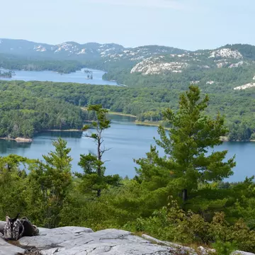 The Crack Trail in Killarney Provincial Park. NelzTabcharani316/Shutterstock