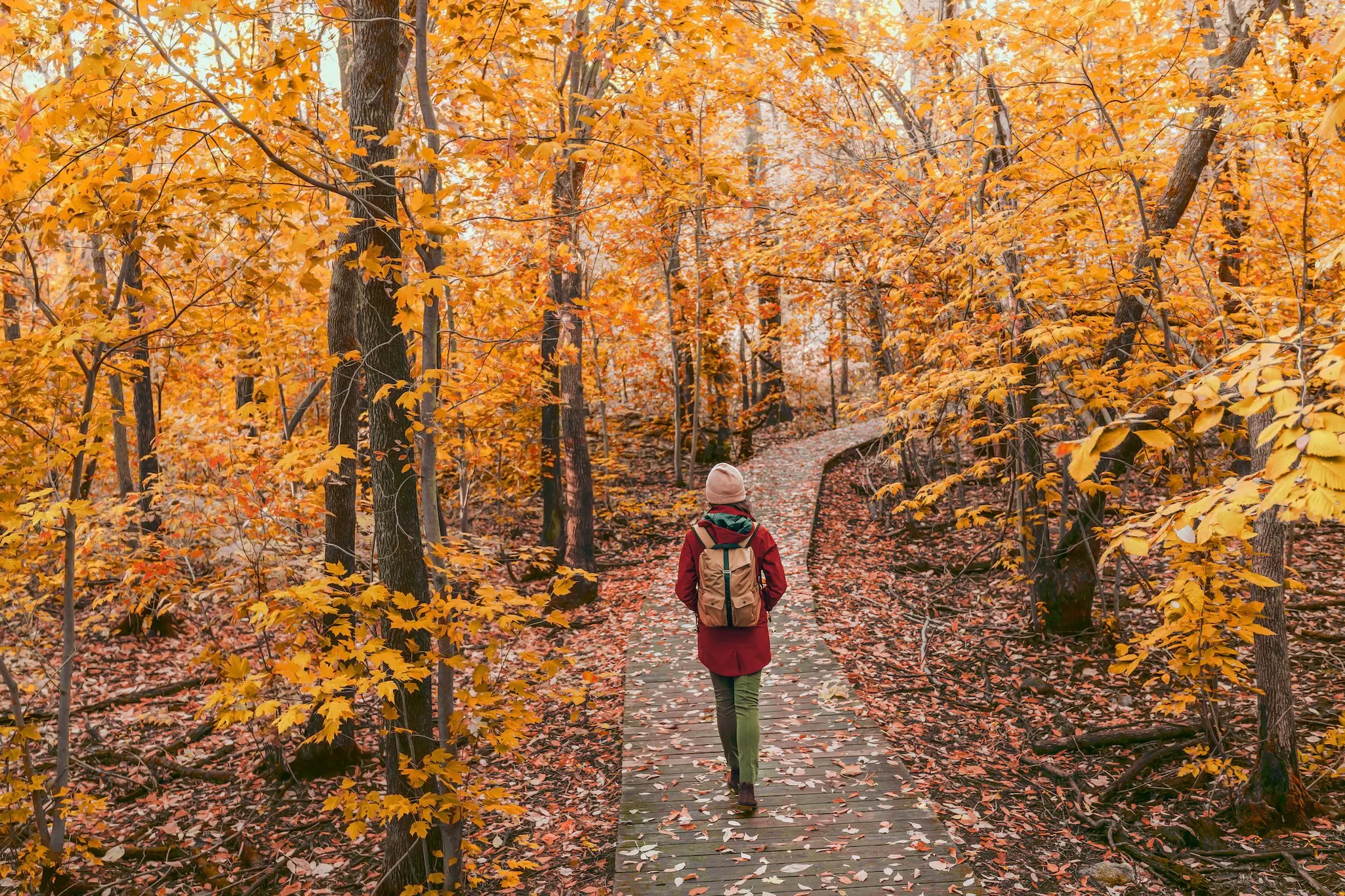 Take a hike through a park to appreciate the fall colors in Québec © Maridav / Shutterstock