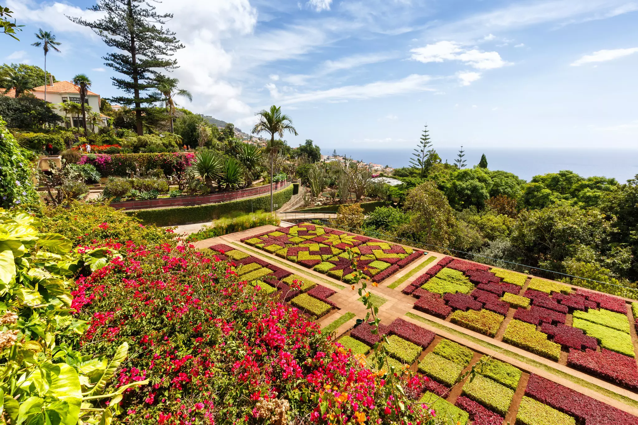 A large, colorful, manicured botanical garden