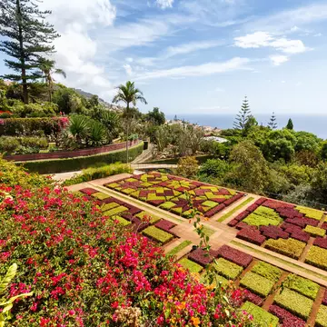 canto-c9hu5dun - Jardins Botânicos da Madeira in Funchal, Madeira. Boarding1Now/Getty Images