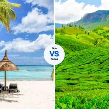 Lie on the beach in Goa, or explore the tea gardens of Kerala? iStock/Getty Images