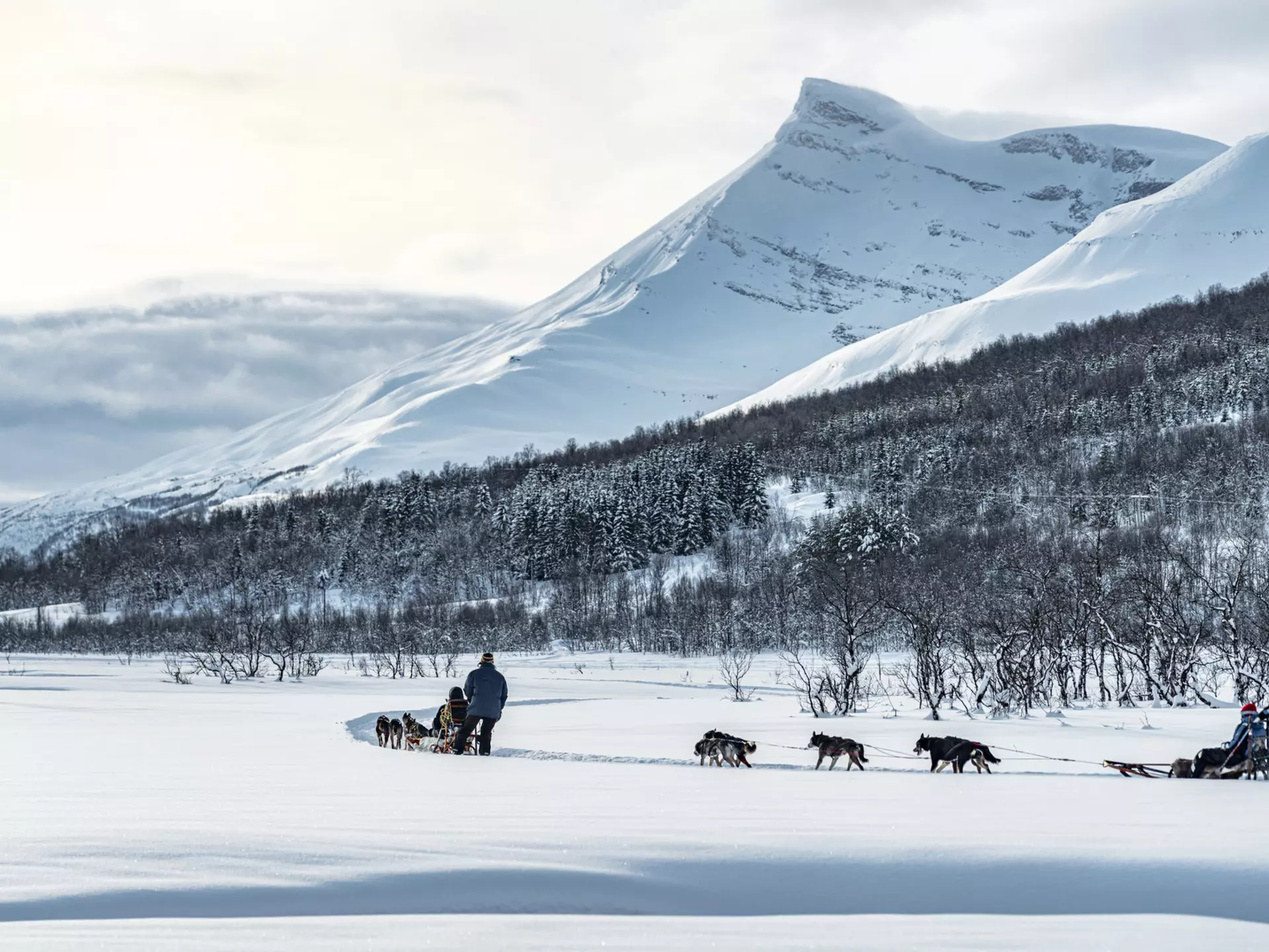 Arctic Norway is everything you'd hope for from the frozen north. Roberto Moiola/Getty Images