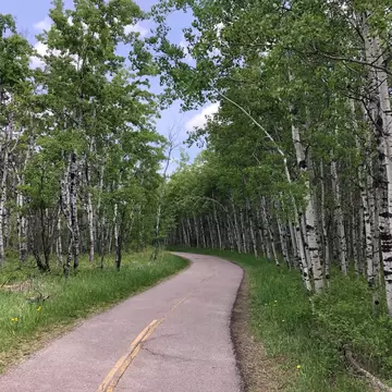A winding train at the Fish Creek Park during the summer in Calgary, Alberta, Canada.