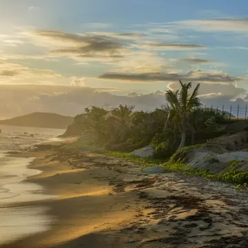 Sunset illuminates the golden sands of the west coast of the island of Vieques, a small isle to the east of Puerto Rico's main island.
1093725830
puerto rico, island, sunset, vieques, idyllic, heaven, getting away from it all, tropical climate, san juan, vacations, travel destinations, beach, coastline, coastal feature, caribbean, caribbean culture, caribbean sea, palm tree, sand, photography, No People