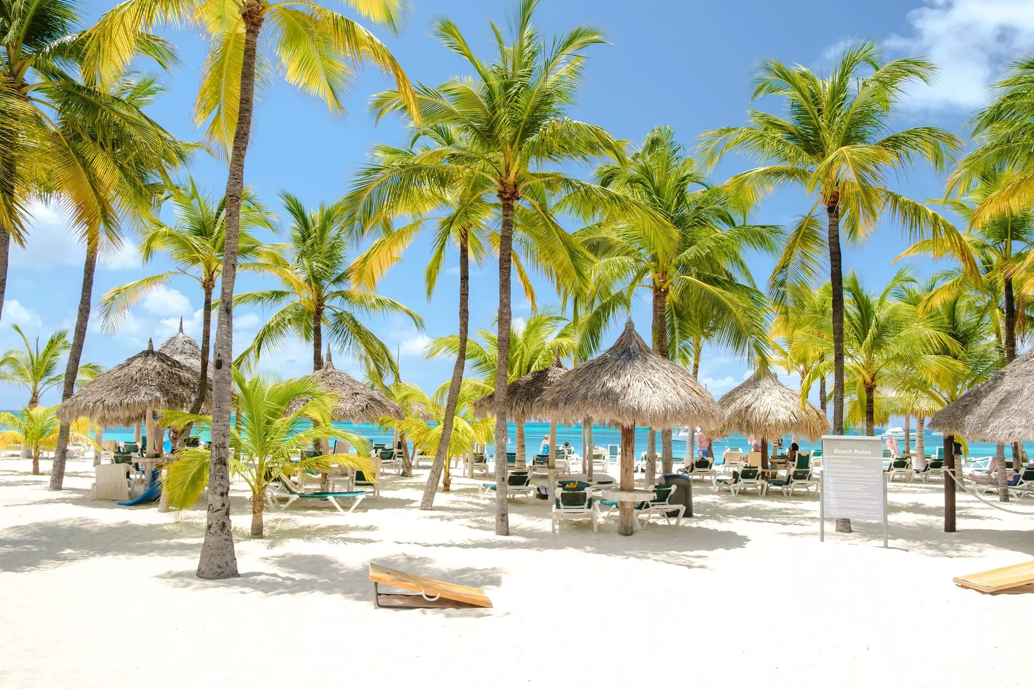 Thatched parasols and sun loungers under palm trees on Palm Beach, Aruba.