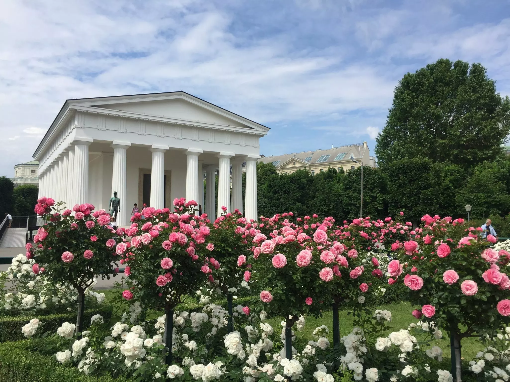 The Volksgarten blooming with pink and white flowers