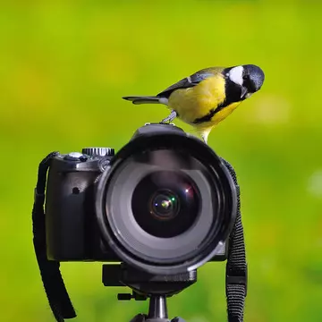 You never know when you're going to be able to line up the perfect shot. That's part of the thrill