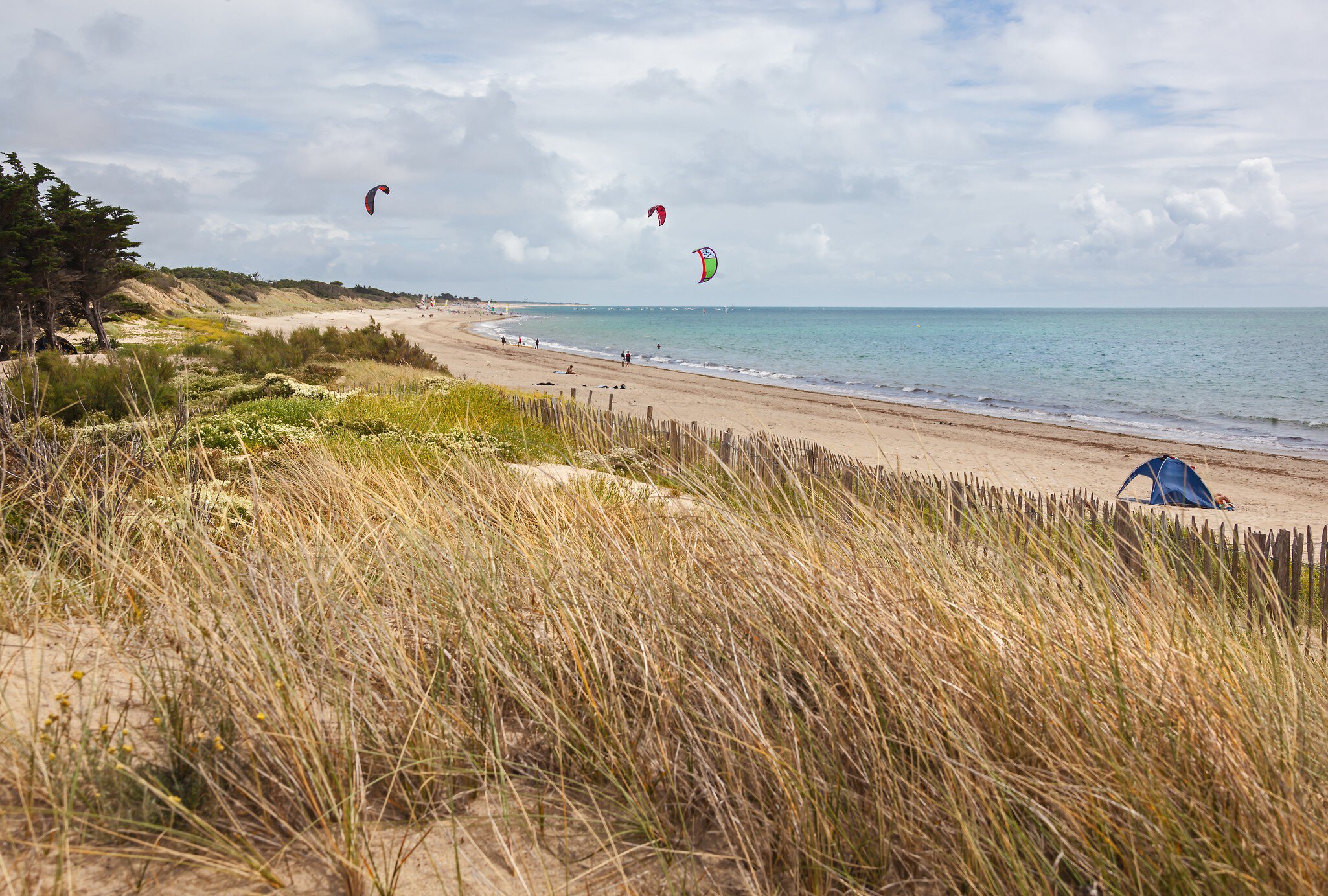 A grass-covered sand dune at the edge of a beach where people are kite surfing.