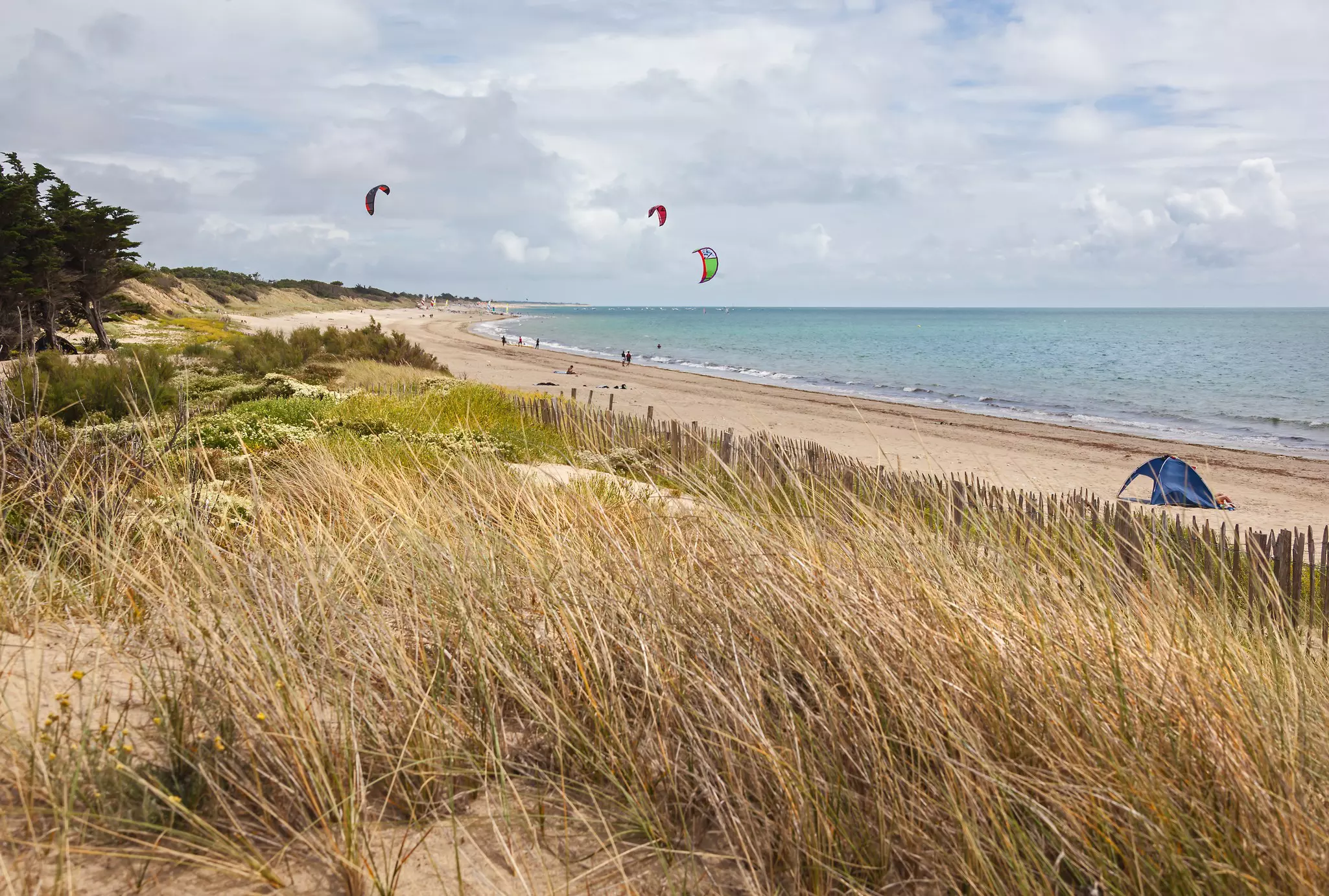 Kites fly on a beach backed by sand dunes.