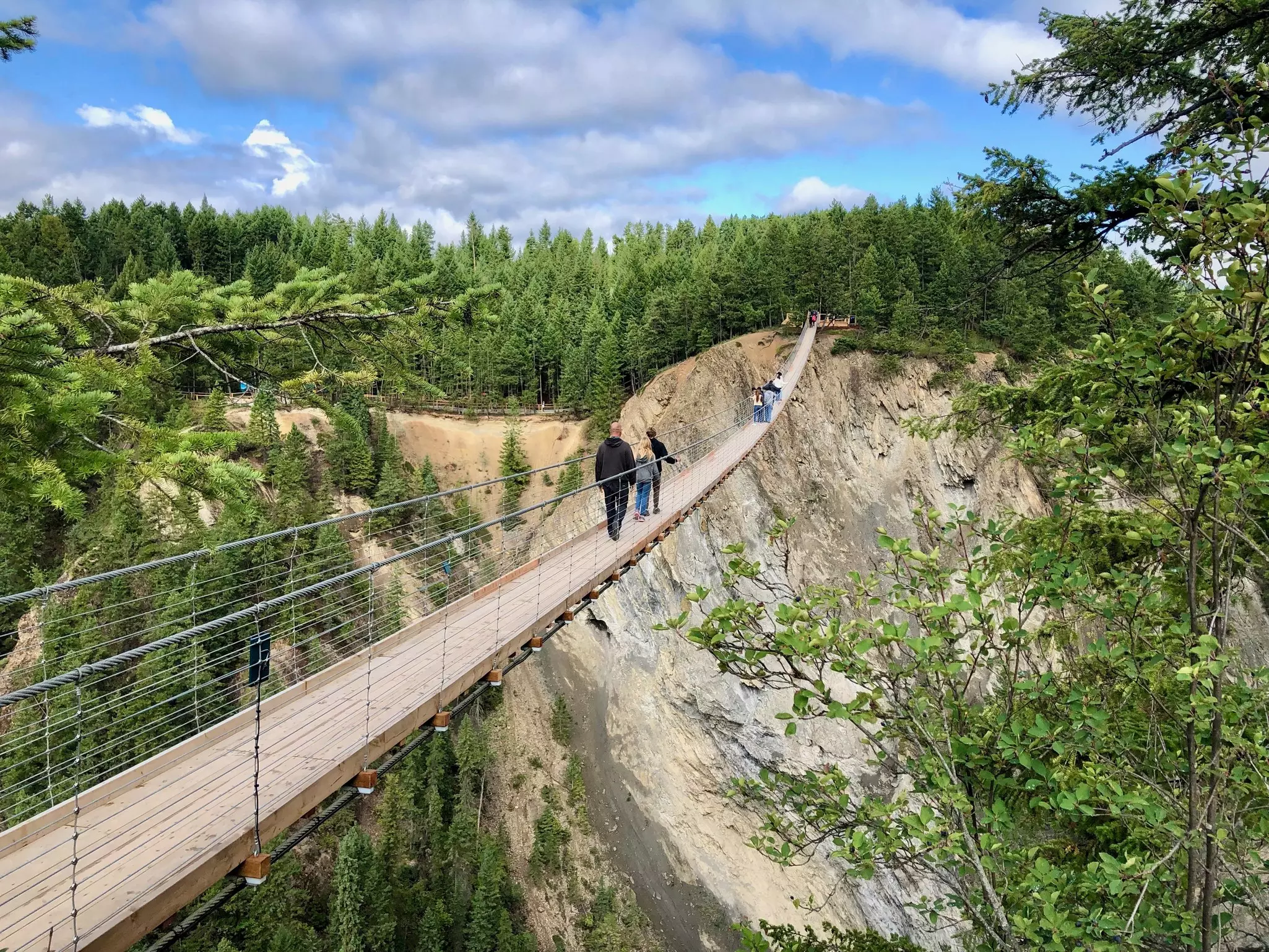 Golden Skybridge 1.jpg