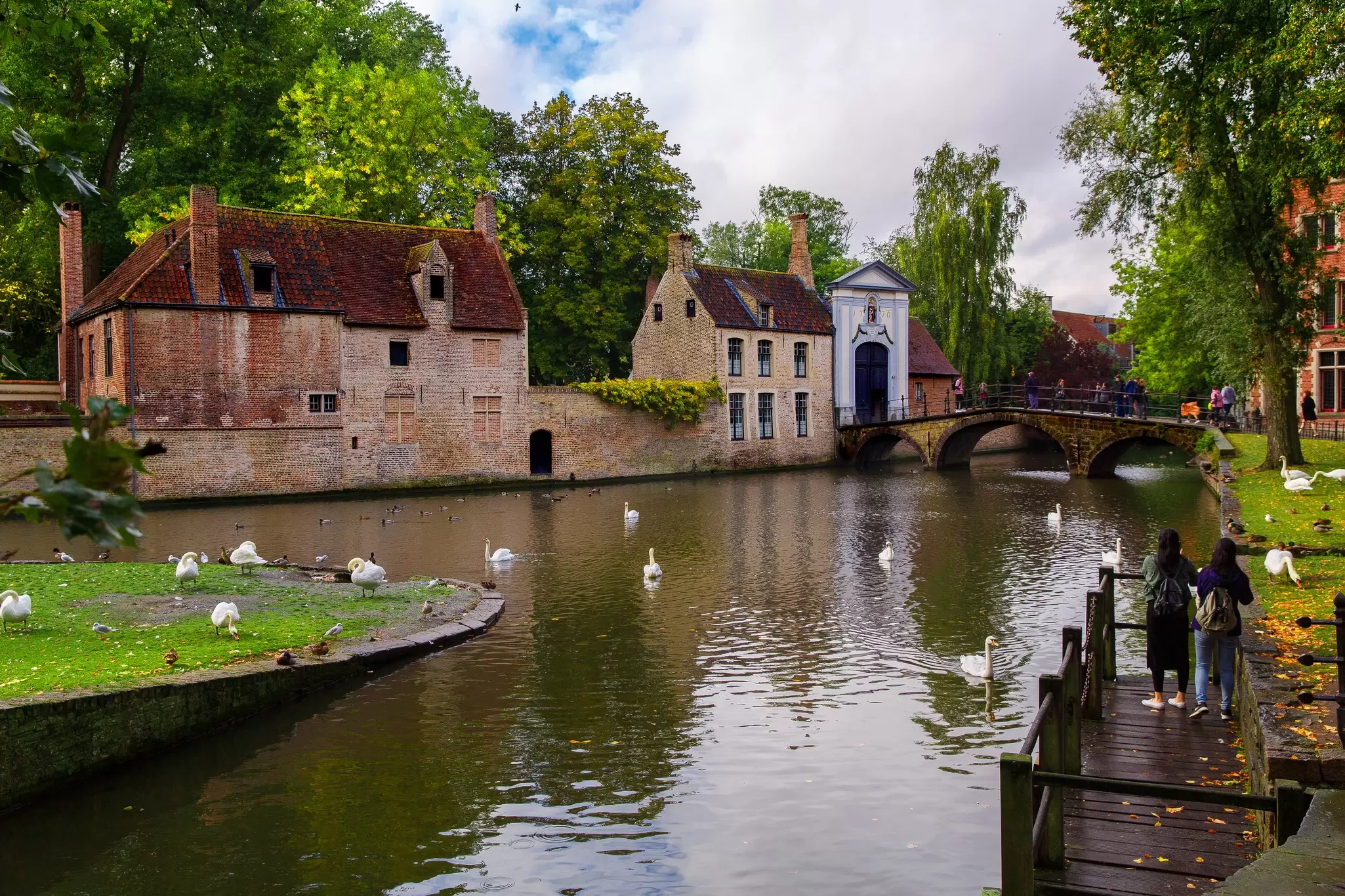 People feed swans by a lake; a stone bridge is in the background.